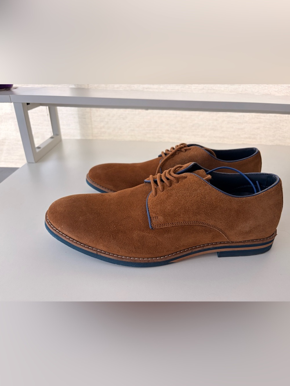 Thomas & Vine Men's Brown Suede Derby Shoes with Blue Trim